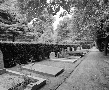 855997 Gezicht op een rij graven langs een pad op de 1e Algemene Begraafplaats Soestbergen (Gansstraat) te Utrecht.